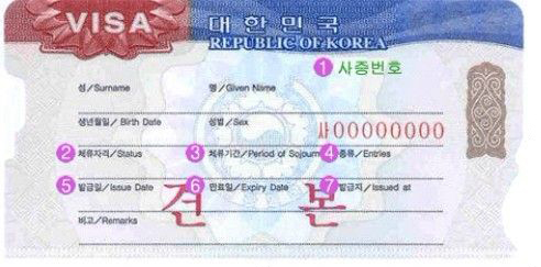 韩国签证样本--整容思密达