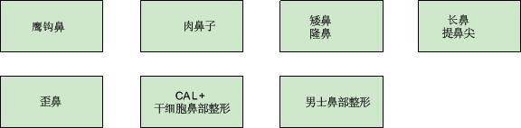 BELITA的整形外科顾客针对型鼻部整形种类