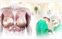 韩国最有名的胸部整形专门医院 