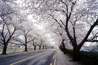 韩国江原道美景