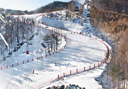 江原道滑雪场
