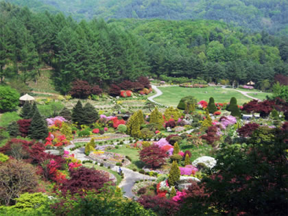 下倾花园大韩民国的花园